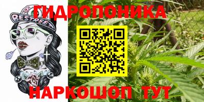 МДПВ Партизанск