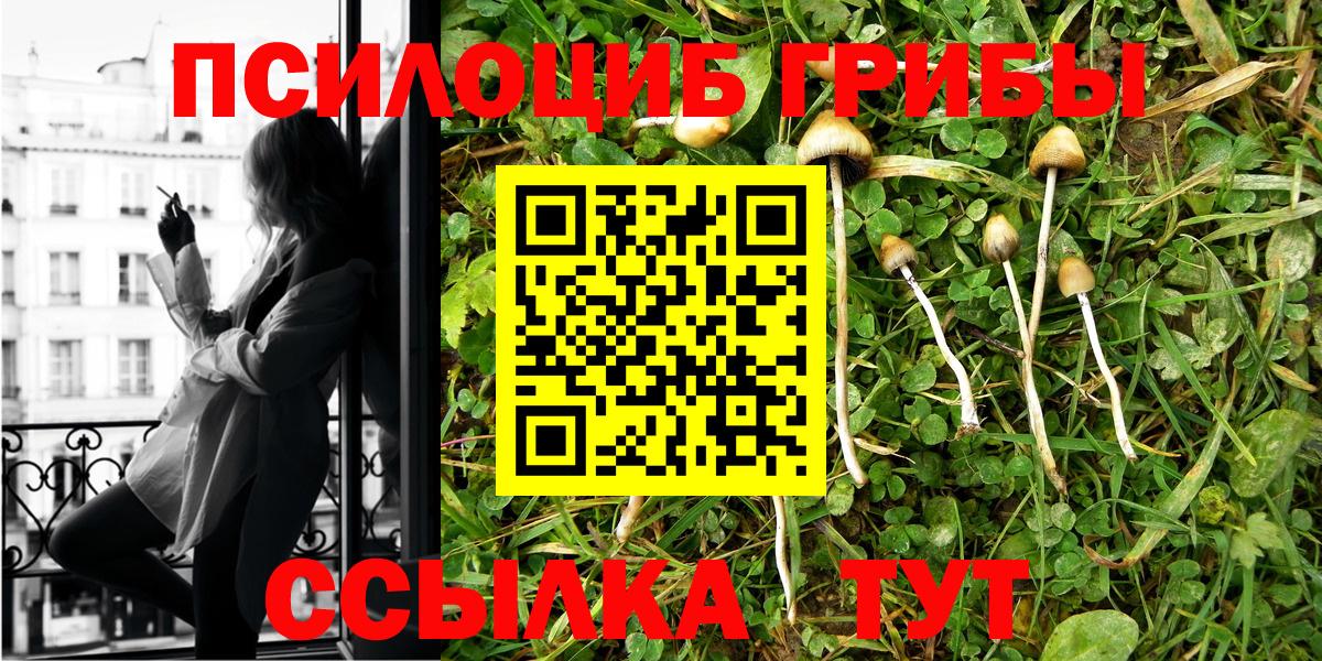Псилоцибиновые грибы MAGIC MUSHROOMS Псков